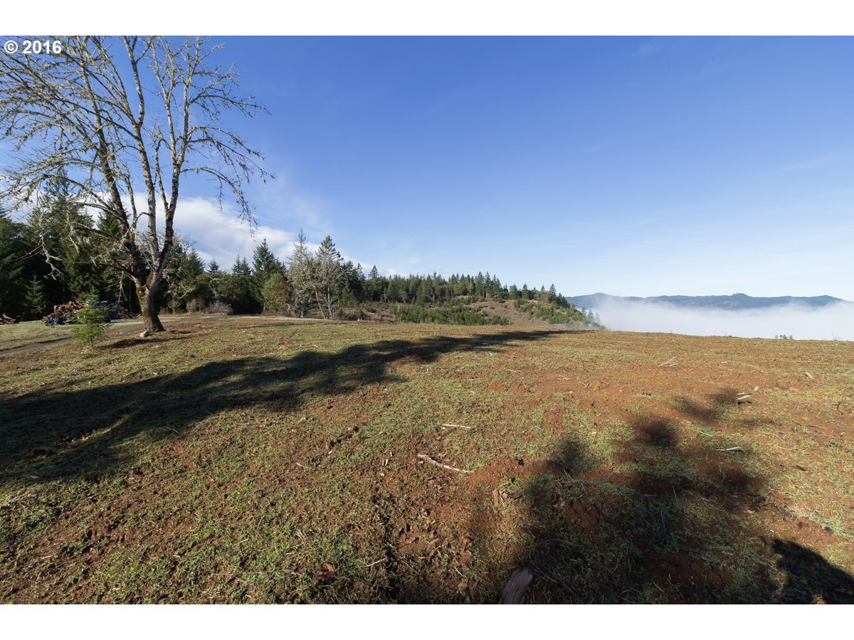 1382 WILDFLOWER LN, Oakland, OR 97462 US Roseburg Land for The Mary