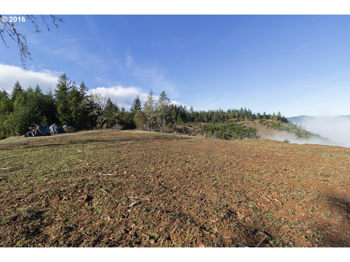 1382 WILDFLOWER LN, Oakland, OR 97462 US Roseburg Land for The Mary