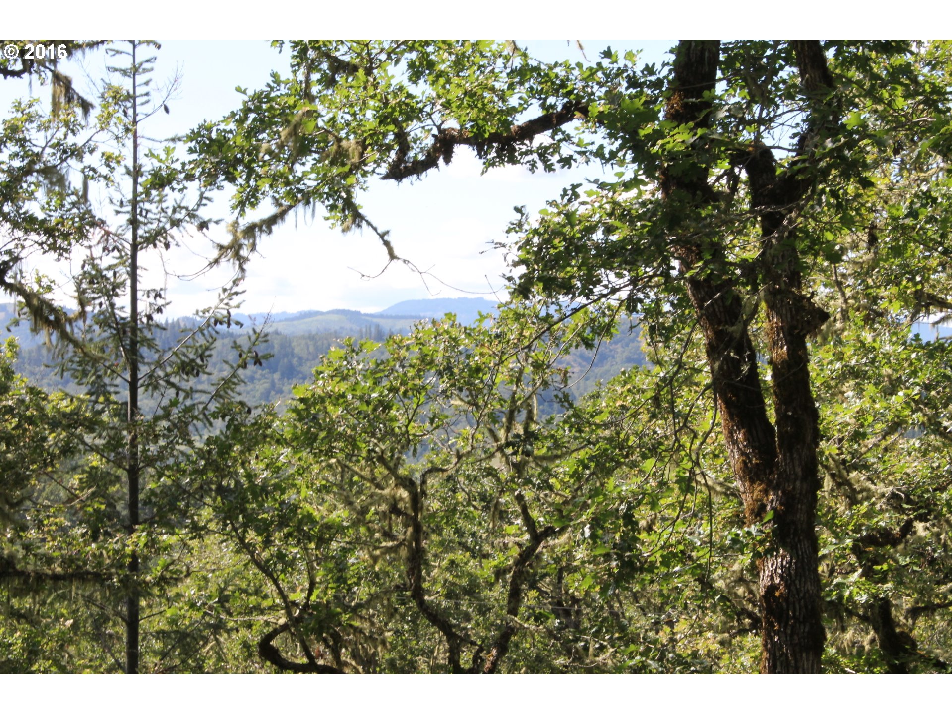 0 ELMAR DR, Winchester, OR 97495 US Roseburg Land for Sale The Mary Gilbert Group with Keller