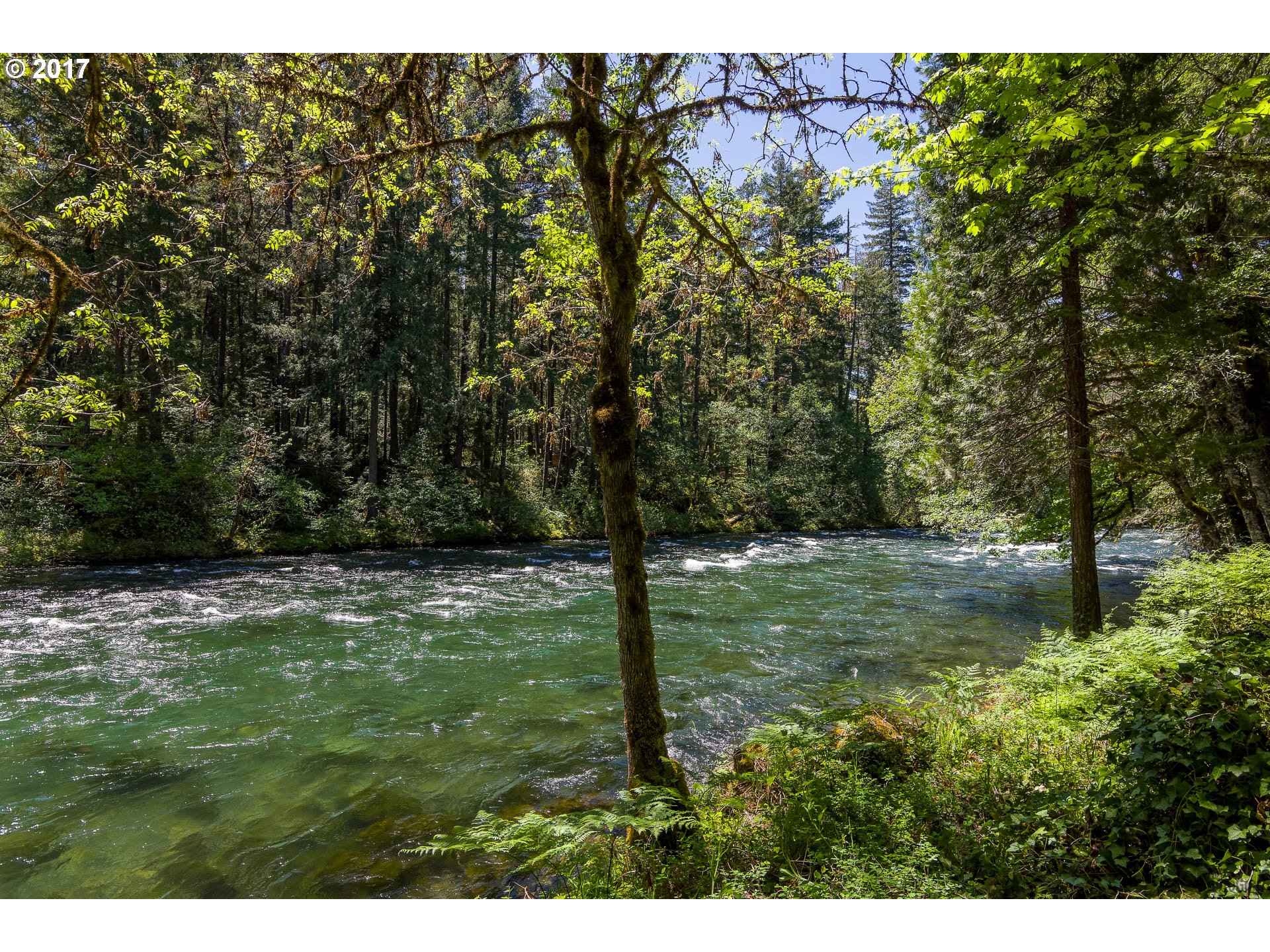 55540 MCKENZIE RIVER DR, Blue River, OR 97413 US McKenzie, Eugene