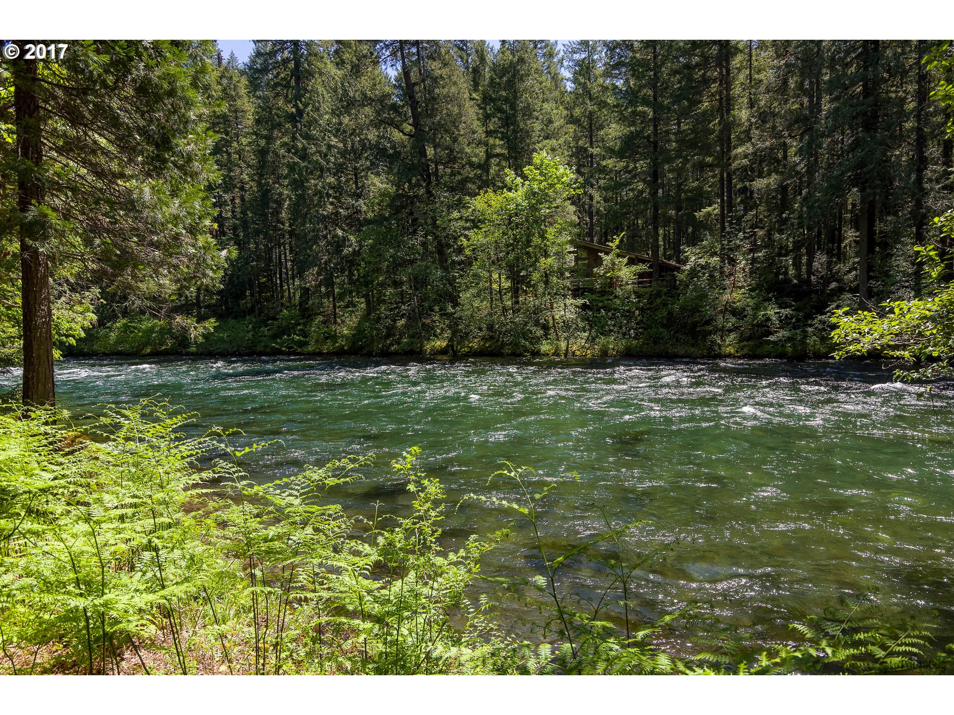 55540 MCKENZIE RIVER DR, Blue River, OR 97413 US McKenzie, Eugene